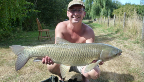 A 22 lb 1 oz grass carp from Lillypool, Dave Brown, Aug 2013