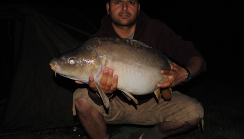A carp from Lillypool, Hunjan Brothers, Jun 2012