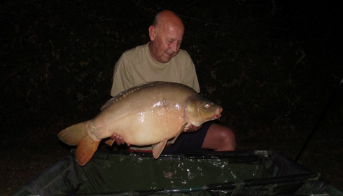 A 31 lb 4 oz carp from Lillypool, Dave Lock, Sep 2016