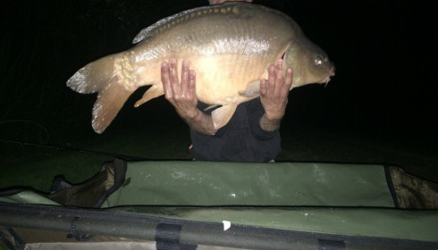 A 33 lb 5 oz carp from Lillypool, Ceri Jones, Jul 2016