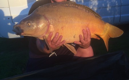 A 20 lb carp from Lillypool, Chris Jones, Oct 2016