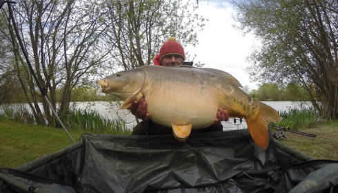 A 43 lb 2 oz carp from Lillypool, Craig Sheffield, Apr 2016