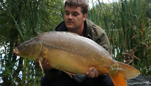 A 24 lb carp from Lillypool, Dave Perry, Aug 2014