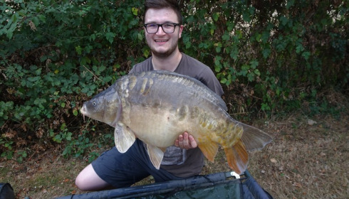 A 31 lb carp from Lillypool, Gavin ODonnell, Sep 2016
