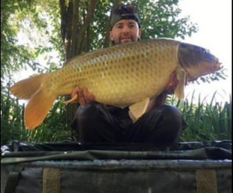 A 31 lb 2 oz carp from Lillypool, Michael Piggott, Jul 2018
