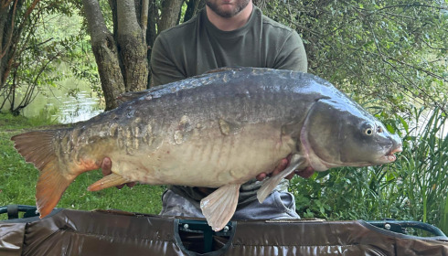 A 33 lb fish from Lillypool, Owen dismore, Jun 2023