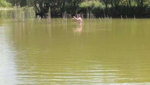 A carp from Lillypool, May 2011