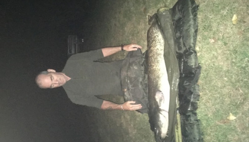 A 52 lb 1 oz catfish from Lillypool, Gary Hewes, Aug 2016