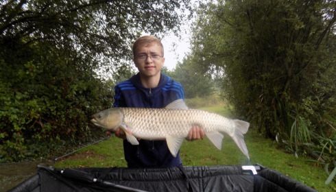 A grass carp from Lillypool, Lewis Bridge, Aug 2015