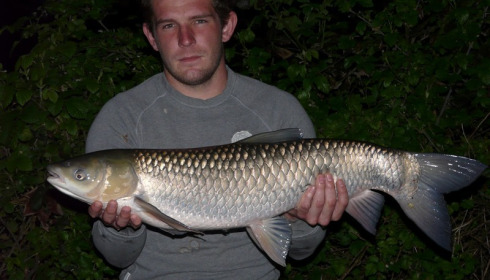 A grass carp from Lillypool, Ben Porter, Apr 2017