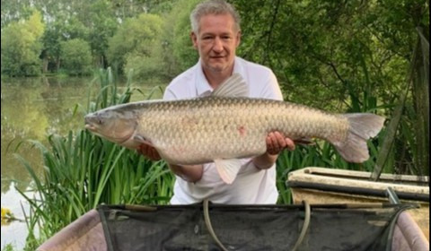A 38 lb grass carp from Lillypool, Michael kelly, Jun 2019