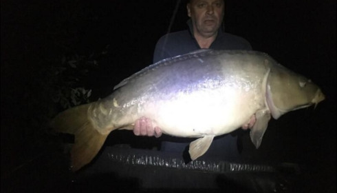 A 39 lb carp from Lillypool, Phil Jackson, Aug 2018