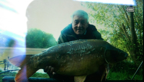 A 24 lb 4 oz carp from Lillypool, Ian Colyer, May 2015