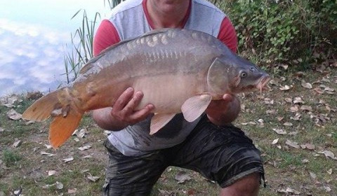 A 22 lb 3 oz carp from Lillypool, Mark Baker, Aug 2015