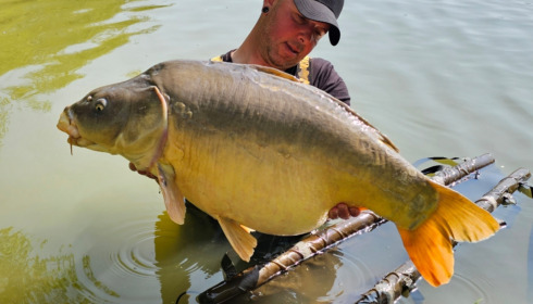 A fish from Lillypool, Apr 2023