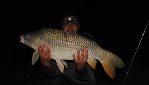 A carp from Lillypool, Hunjan Brothers, Jun 2012