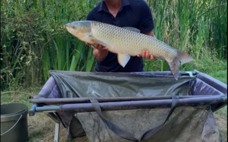 A 21 lb 7 oz carp from Lillypool, Chris Allan, Jul 2018