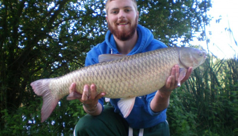 A grass carp from Lillypool, Fred Collier, Jul 2014