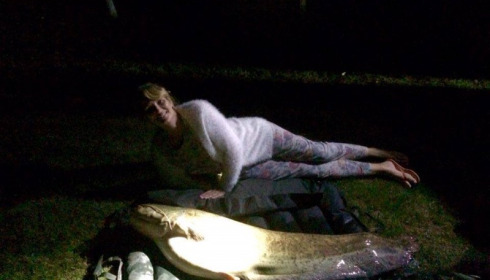 A 65 lb catfish from Lillypool, Sally Malcolm, Aug 2016