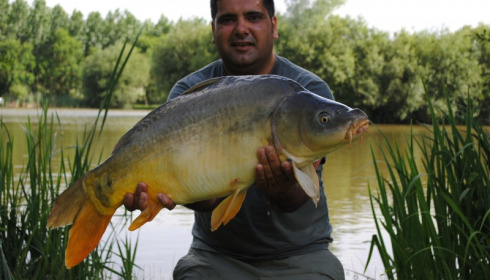 A carp from Lillypool, Hunjan Brothers, Jun 2012