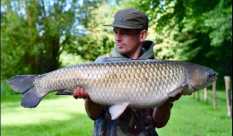 A 39 lb grass carp from Lillypool, Lee Fisher, Jun 2019