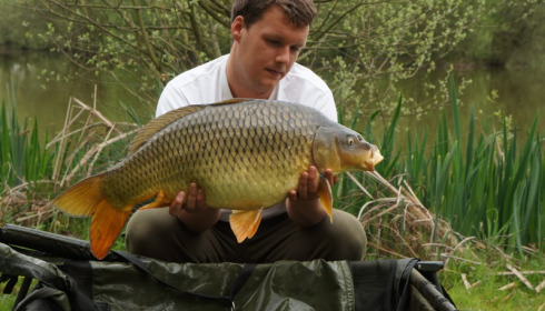 A 20 lb 10 oz carp from Lillypool, Ste Perry, Apr 2015