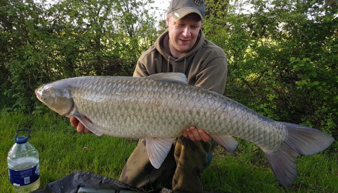 A 30 lb 4 oz grass carp from Lillypool, Sam lawther, Apr 2017