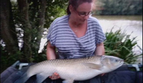 A 26 lb grass carp from Lillypool, Angela Lee, Aug 2019