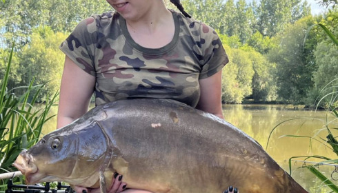 A fish from Lillypool, Jul 2022