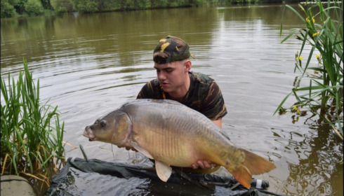 A carp from Lillypool, Lewis Herbert, May 2018