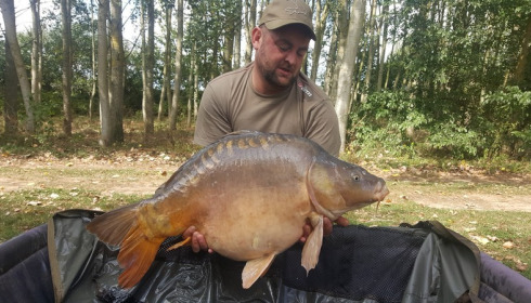 A 31 lb carp from Lillypool, Paul Holmes, Sep 2017