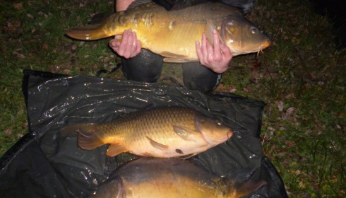 A 20 lb carp from Lillypool, Stocking, Jan 2015
