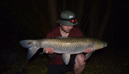 A 20 lb 1 oz grass carp from Lillypool, Tony Holsten, Sep 2019