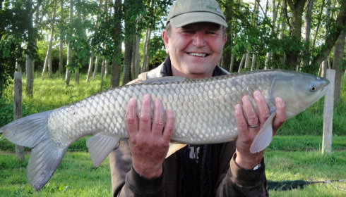 A grass carp from Lillypool, Ken King, May 2014