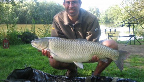 A carp from Lillypool, T Foster, Jun 2012