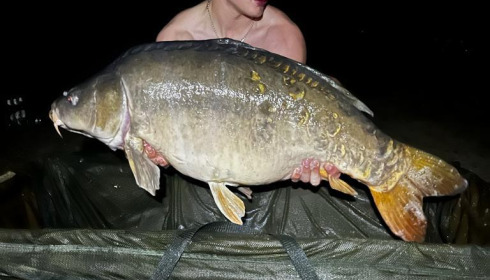 A 43 lb 10 oz fish from Lillypool, Jack nicholls, Jul 2023