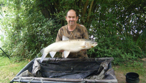 A 22 lb 5 oz grass carp from Lillypool, Mark Smith, Jul 2017