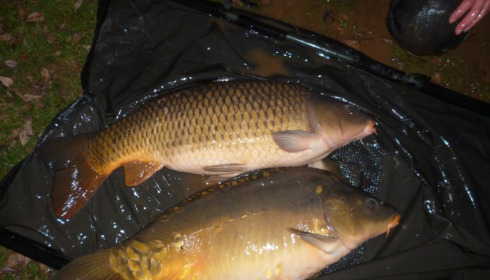 A 20 lb carp from Lillypool, Stocking, Jan 2015