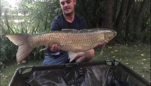A 22 lb 8 oz grass carp from Lillypool, Macca Jones, Jul 2019