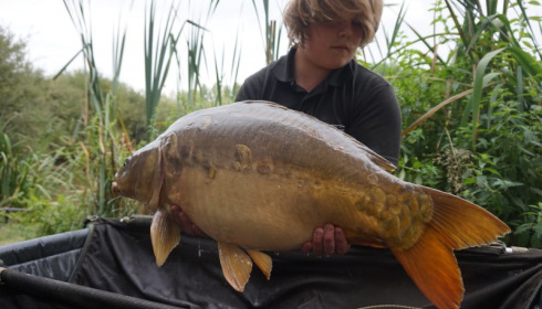 A 24 lb 14 oz carp from Lillypool, Callum Gordon, Aug 2015