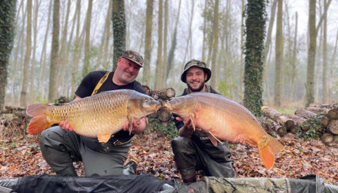 A fish from Lillypool, Double trouble, Oct 2022