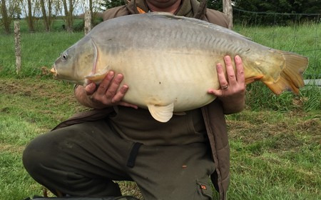 A 35 lb 10 oz carp from Lillypool, Steve Easton, Apr 2016