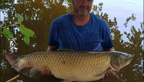 A 37 lb 15 oz grass carp from Lillypool, Danny Scott, Jul 2018