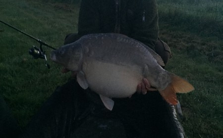 A 27 lb 1 oz carp from Lillypool, Steve Easton, Apr 2016