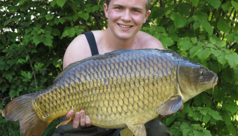 A 29 lb 10 oz carp from Lillypool, Tom Peach, Jun 2014