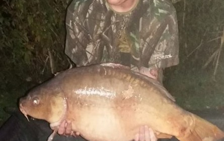 A 21 lb 8 oz carp from Lillypool, Paul Drinkwater, Sep 2017