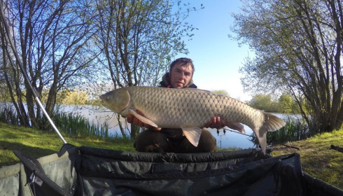 A 26 lb grass carp from Lillypool, Craig Sheffield, Apr 2016