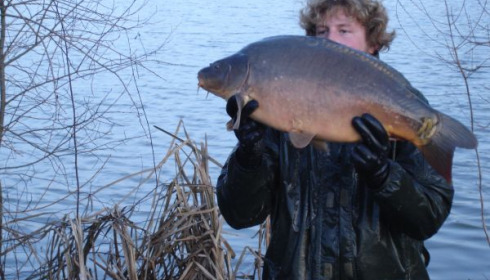 A carp from Lillypool, One of the new stock added in January, Jan 2011