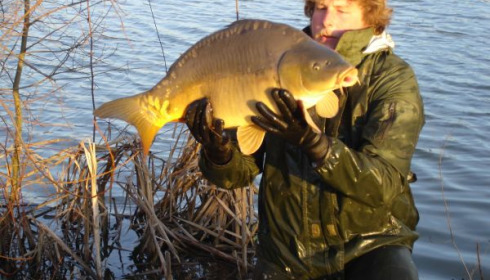 A carp from Lillypool, One of the new stock added in January, Jan 2011