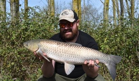 A grass carp from Lillypool, Adam West, Apr 2018